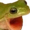 FROGGERS emote