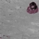 catSlide emote