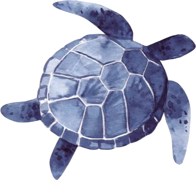 blueturtle emote