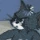 TomThink emote