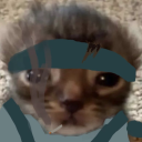 SolidCat static emote