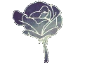 FlowerGray emote