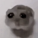 ohSingingAtYou emote