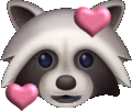 Lovey_Raccoon emote