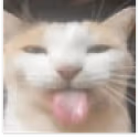 blehhh emote