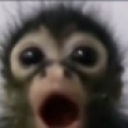 monkey static emote
