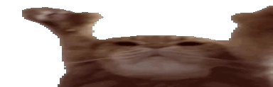 Catting emote