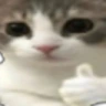 catThumbsup emote