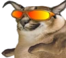 FloppaWicked emote