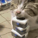 Mahjong emote
