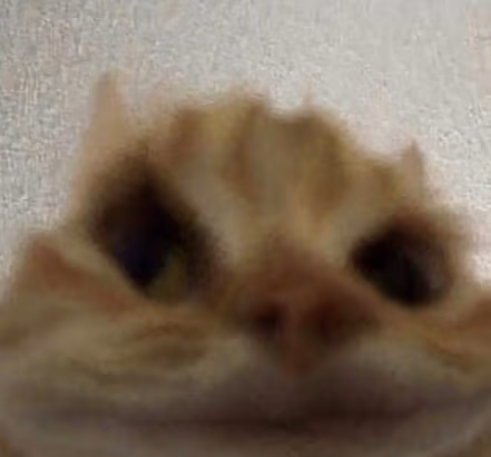 hmmkat emote