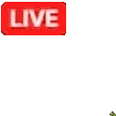 ewLostArk emote