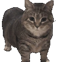 bye emote