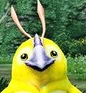 Happy_Rappy emote