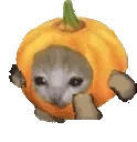 Pumpkincatrun emote