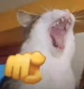AHAHAHAAHAHAYOUIDIOT emote
