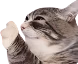 hesNotAlrightYouKnow emote