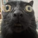 jinxStare emote