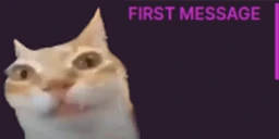 FirstTimeErmer emote