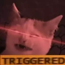 CE_CattoTriggered2 emote