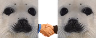 SealTheDeal emote