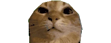 wuhtosis emote