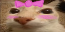 otagCute emote