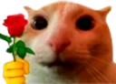 catRose emote