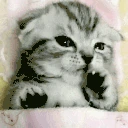 sleepyMore emote