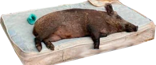 kabanchik emote
