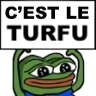 pepe_turfu emote
