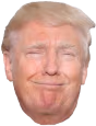 trumpsmug emote