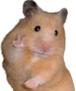 peace emote