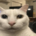 racist emote