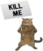 KillMeSignCat emote