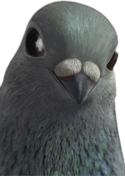 Pignonfull emote