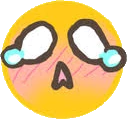 blushCry emote