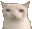 cateat emote