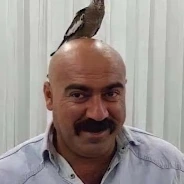 vandam emote