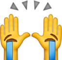raised_sobbing_hands emote