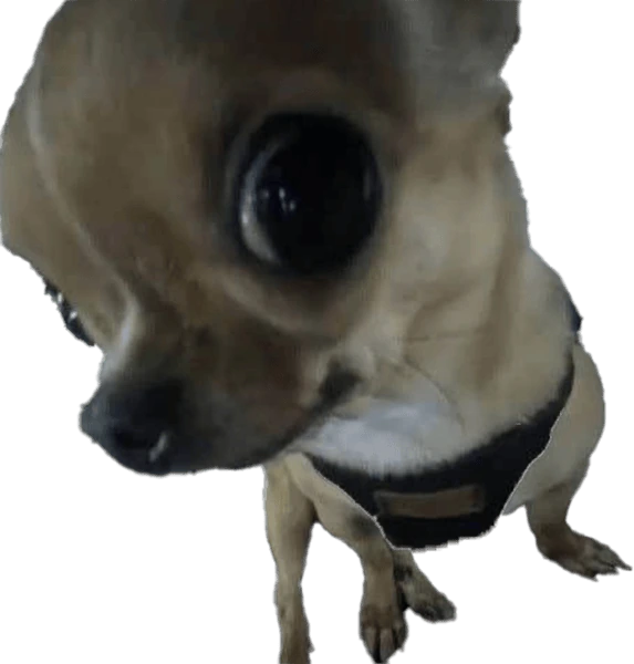 DogAyo emote