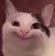 HappyCat emote