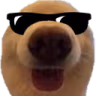dawg_cool emote
