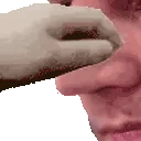 PETTHESCHNOZER emote