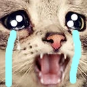 CatCry emote