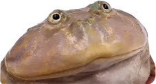 JABA emote