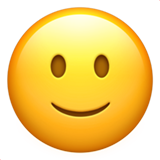 slightly_smile static emote