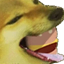 CheemsBurger1 emote