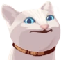 DGF_CatPop1 emote