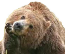 bear_2 emote